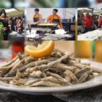 Boquerones: En liten men viktig fisk