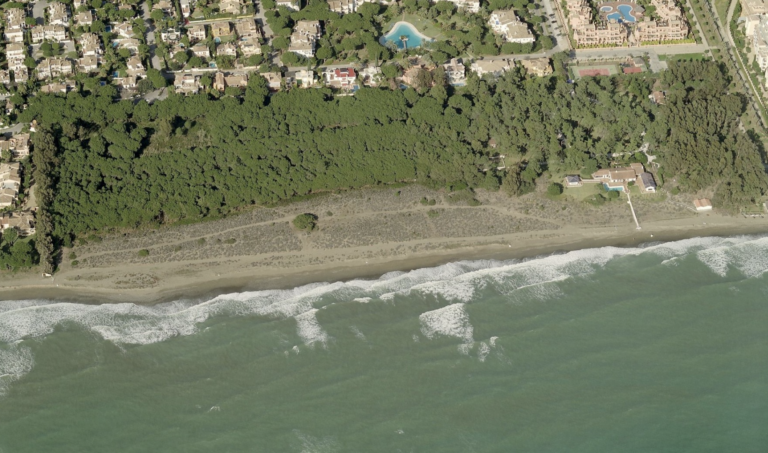 Screenshot 2024-08-20 at 08.56.45