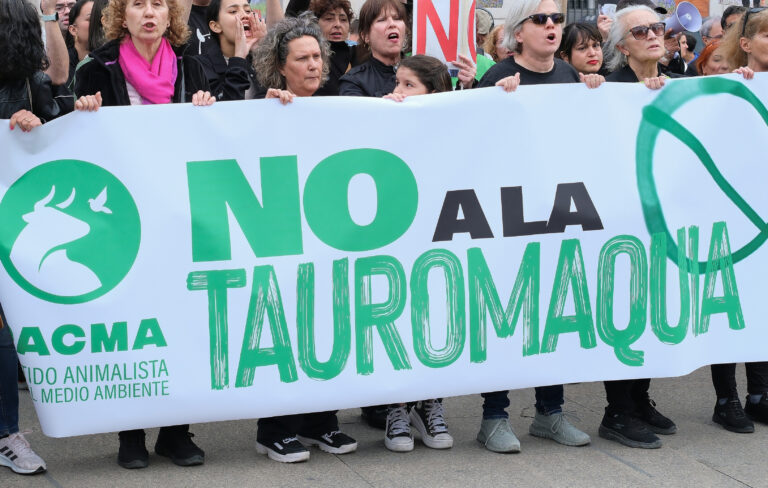 Demonstration,Against,Bullfighting,And,Animal,Abuse,Demanding,The,Abolition,Of