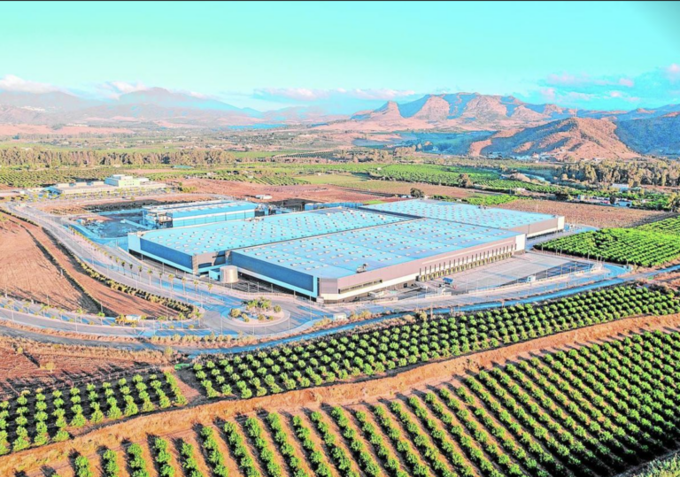 Screenshot 2024-09-03 at 11.21.32