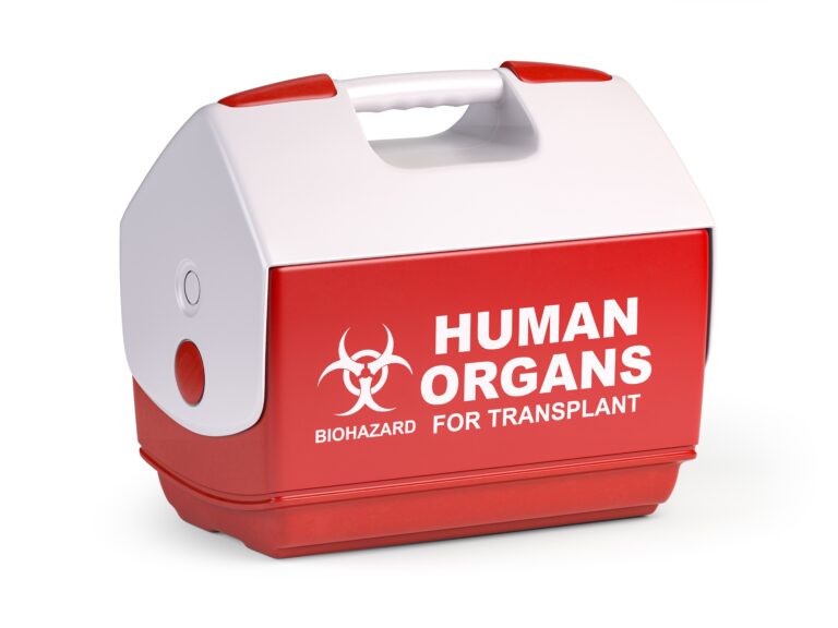 Human,Organ,For,Transplant,Refrigerator,Box,Isolated,On,White.,3d