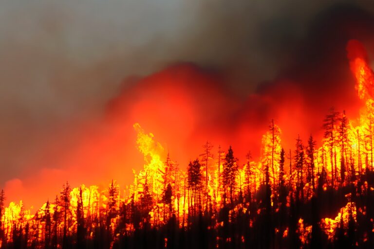 Wildfire.,Wildfire,In,British,Columbia.,Canada.,Forest,Fire.,Forest,Fire