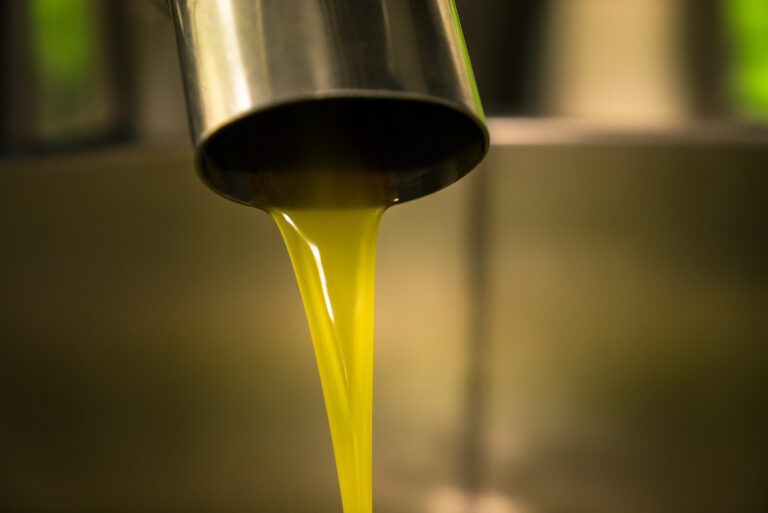 Extraction,Of,Oil,From,Olives,In,A,Modern,Farm.