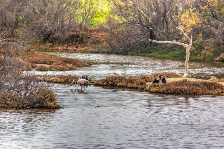 Walk,Through,The,Mouth,Of,The,Guadalhorce,,Between,Malaga,And
