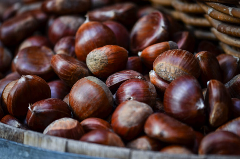 Grilled,Chestnuts,Close,Up,-,Streets,Of,Rome
