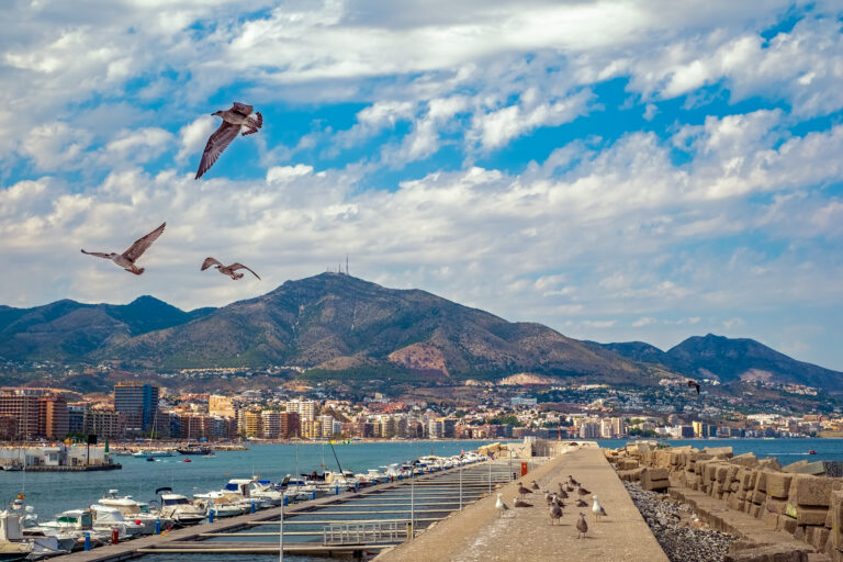 Gulls,Flying,Over,The,Harbor,,Fuengirola,City,,Costa,Del,Sol,