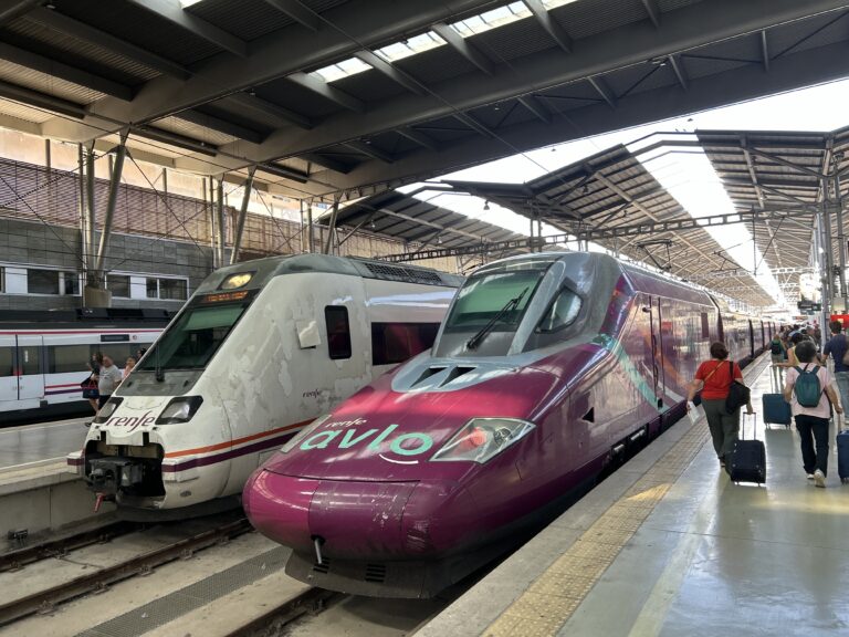 High,Speed,Trains,At,Maria,Zambrano,Railway,Station.,Malaga,,Spain.