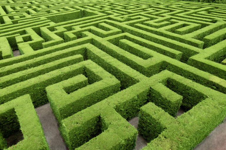 Hedge,Cut,Into,A,Maze,Like,Puzzle,Pattern,Forming,A
