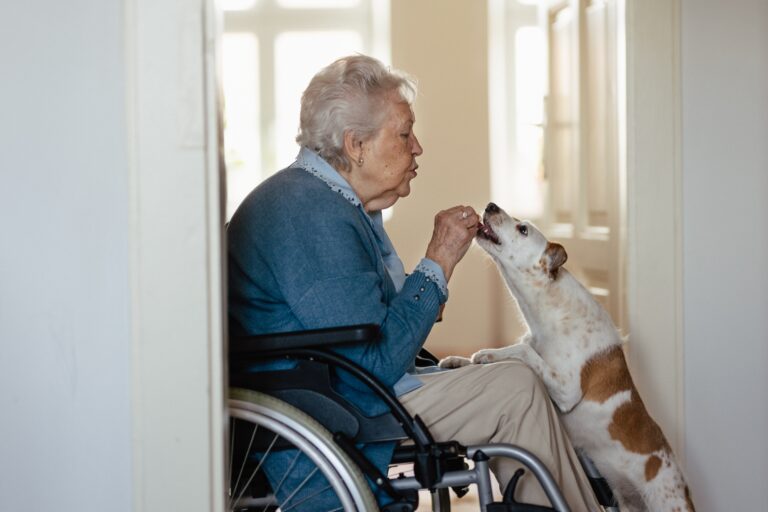 Senior,Woman,On,Wheelchair,Enjoying,Time,With,Her,Dog.