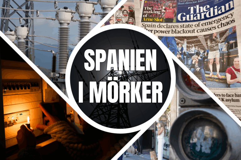 Copy of Untitled Design(1) copy