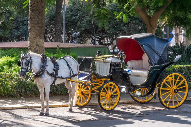 Málaga,,Andalusia,,Spain,-,August,01,,2023:,Horse-drawn,Carriage,Parked