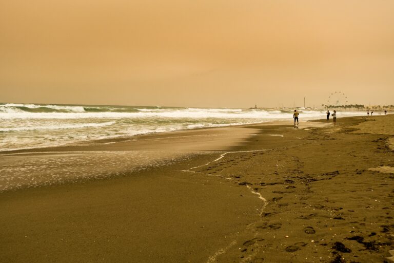 Beach,During,The,Colima,In,Malaga