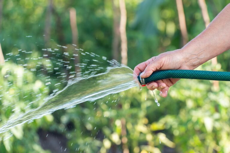 Woman,Watering,Plants,With,Water,From,A,Hose,In,A