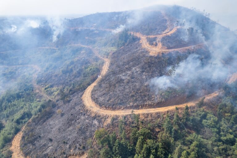 Smoky,Forest,Fires,In,Spring