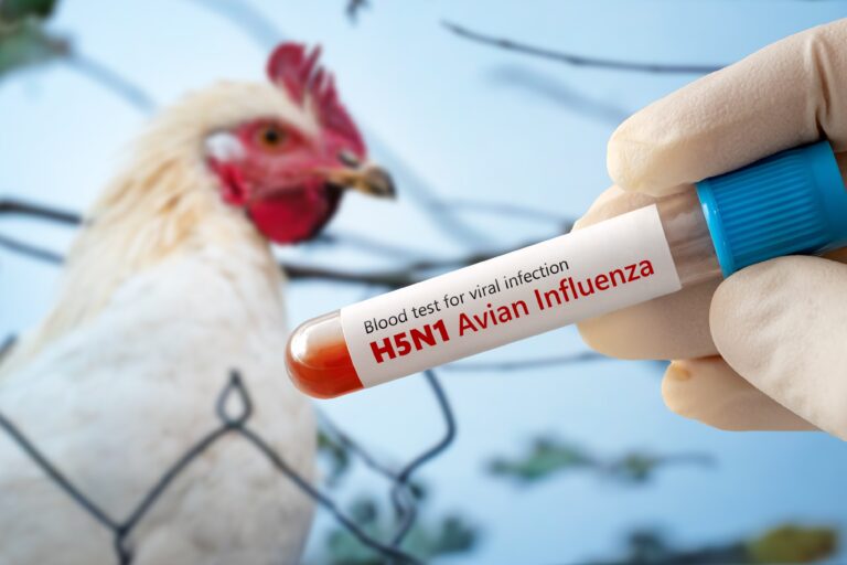 A,Test,Tube,With,A,Blood,Test,For,H5n1,Avian