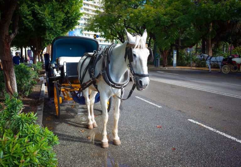 Malaga,,Andalusia,,Costa,De,Sol,,Spain.,City,Scene,From,Malaga