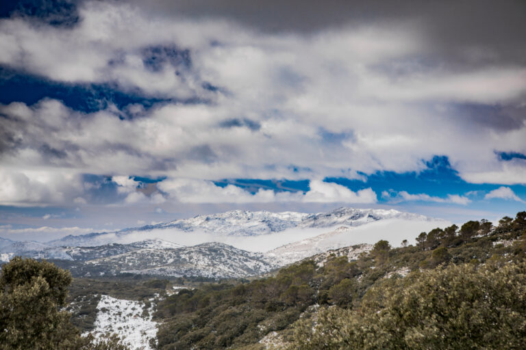 Sierra,De,Las,Nieves,In,Malaga
