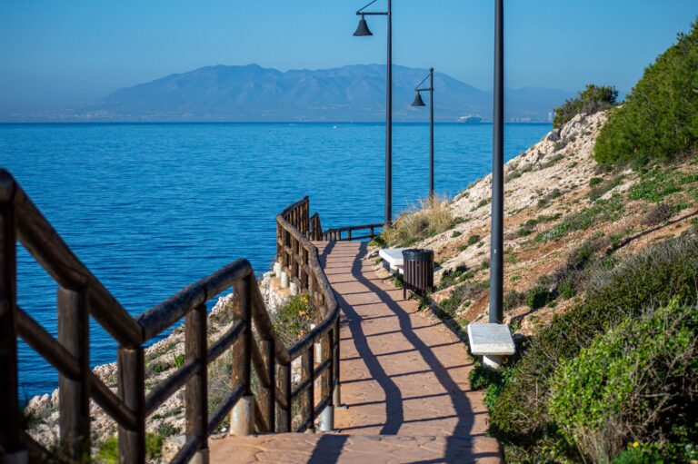 shutterstock_2443441579