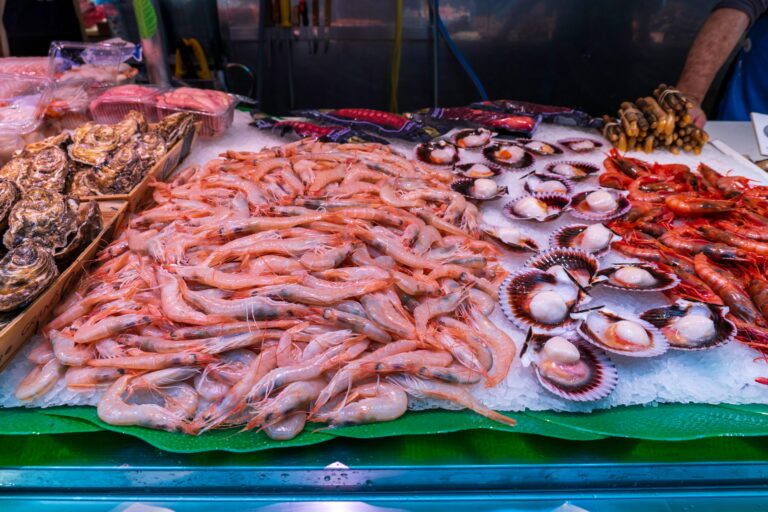 shutterstock_2455689131