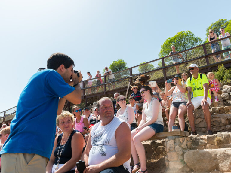 Malaga,,Spain,-,September,7,,2016:,Professional,Photographer,Taking,Picture