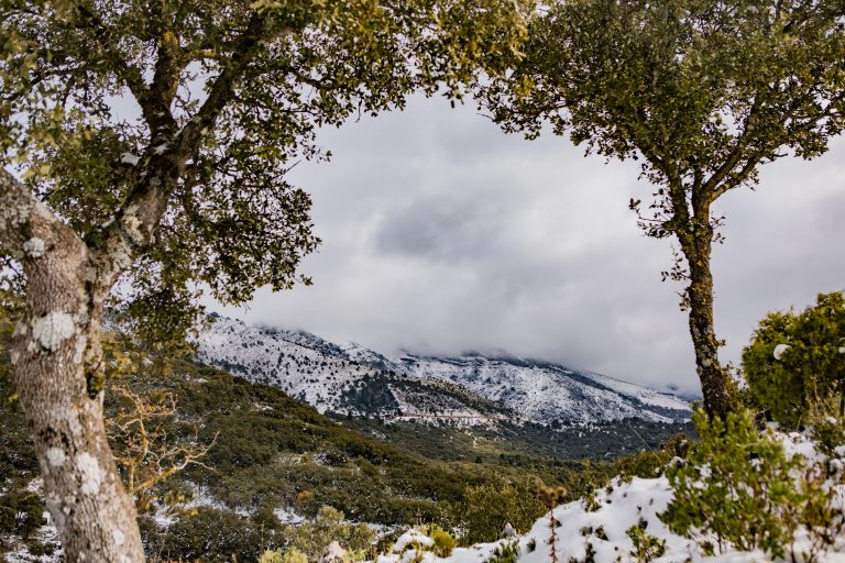 Sierra,De,Las,Nieves,In,Malaga