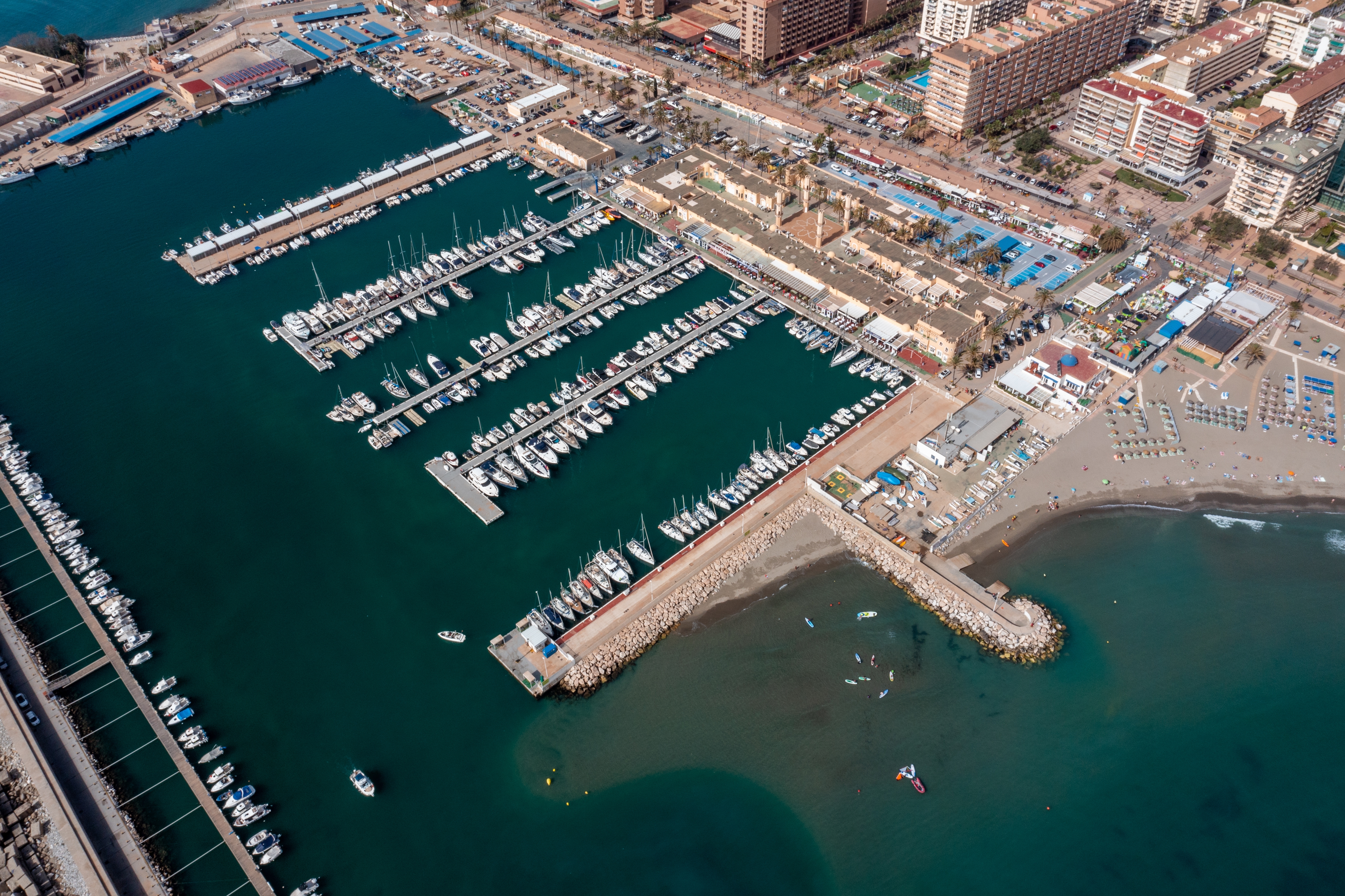 shutterstock_2263354221