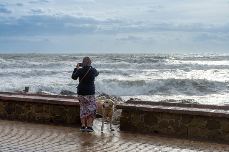 Malaga,,Spain,-,February,10,,2023:,Woman,Taking,Photo,Of