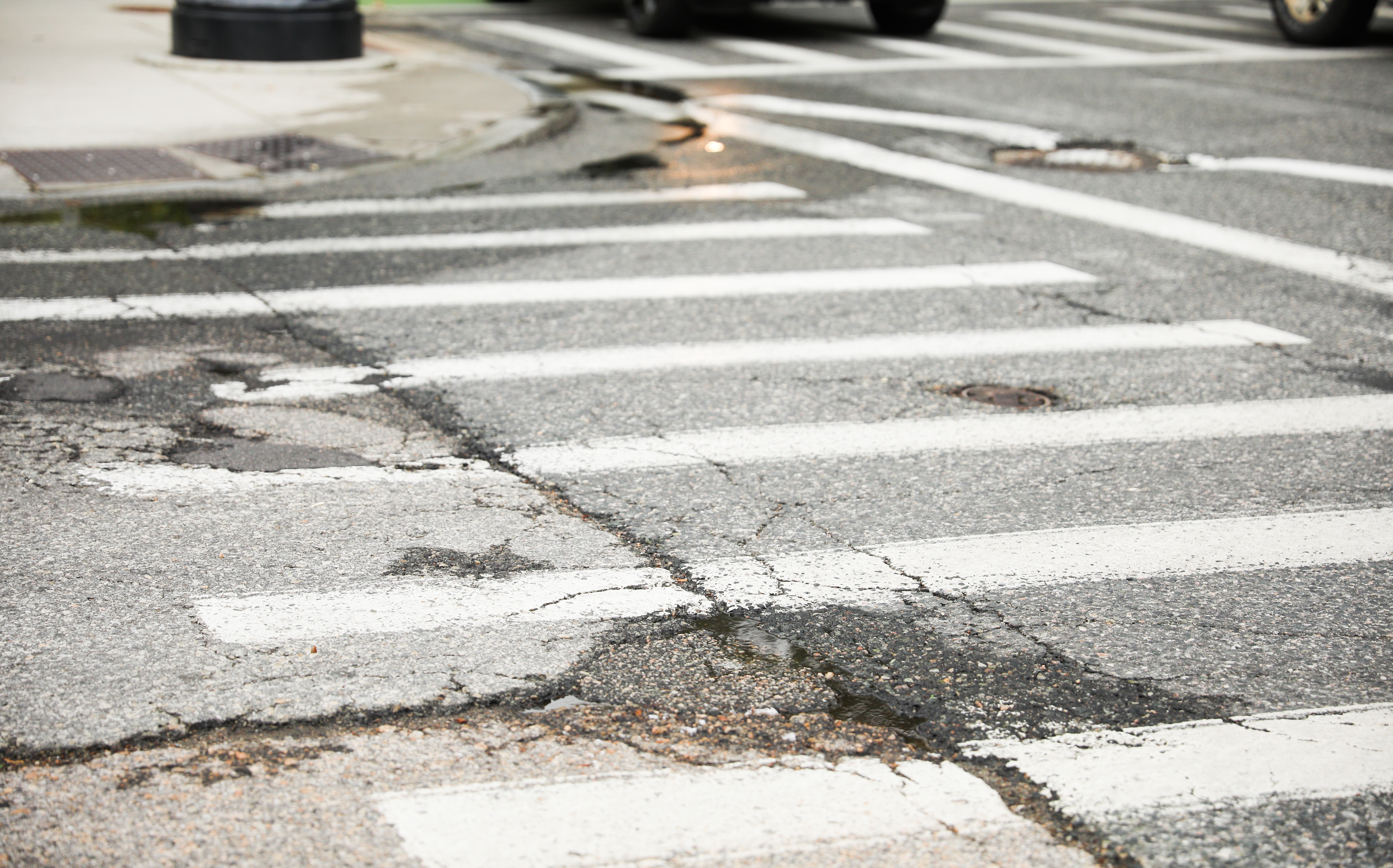 shutterstock_2325834461