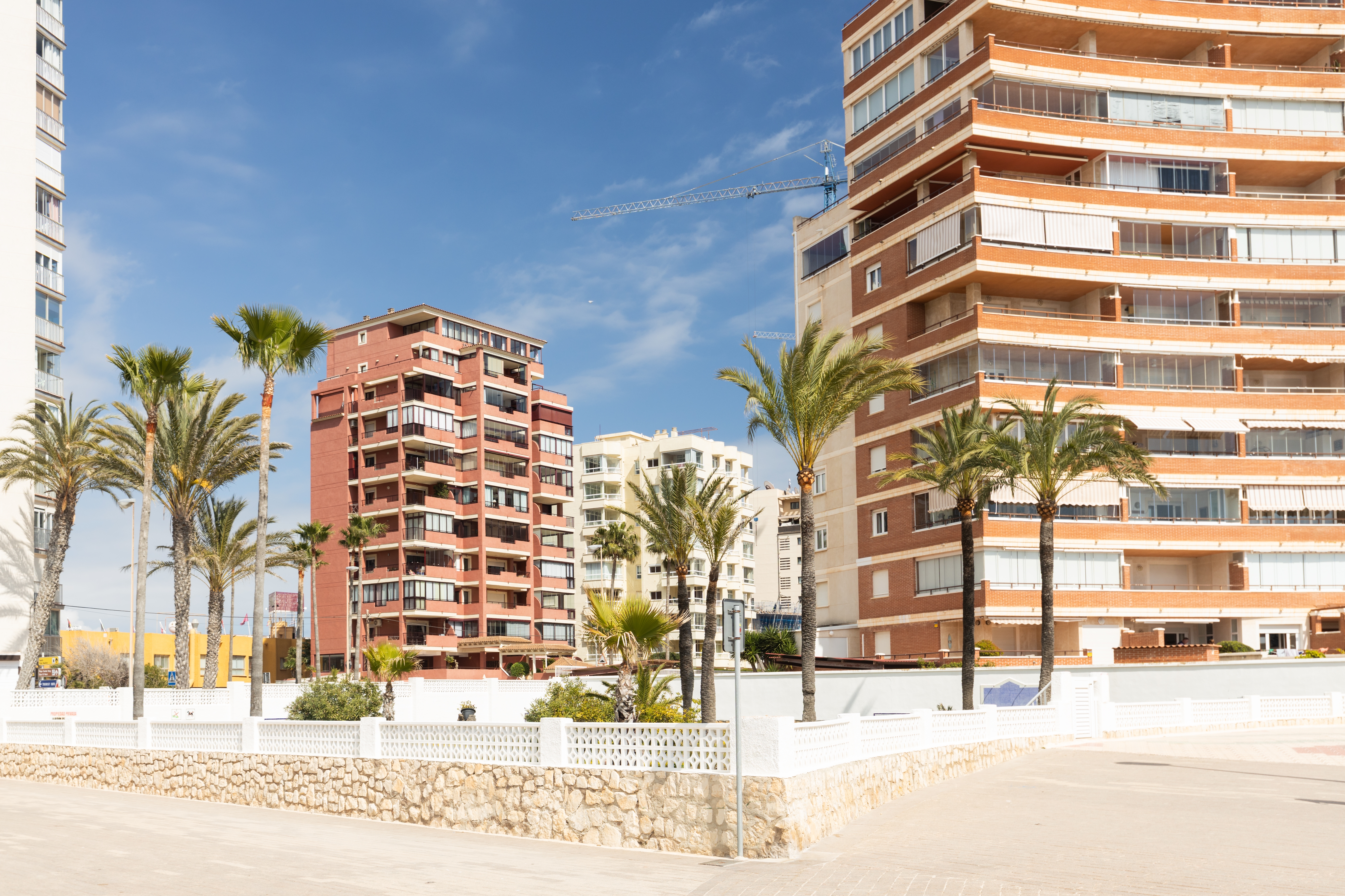 shutterstock_2609999699