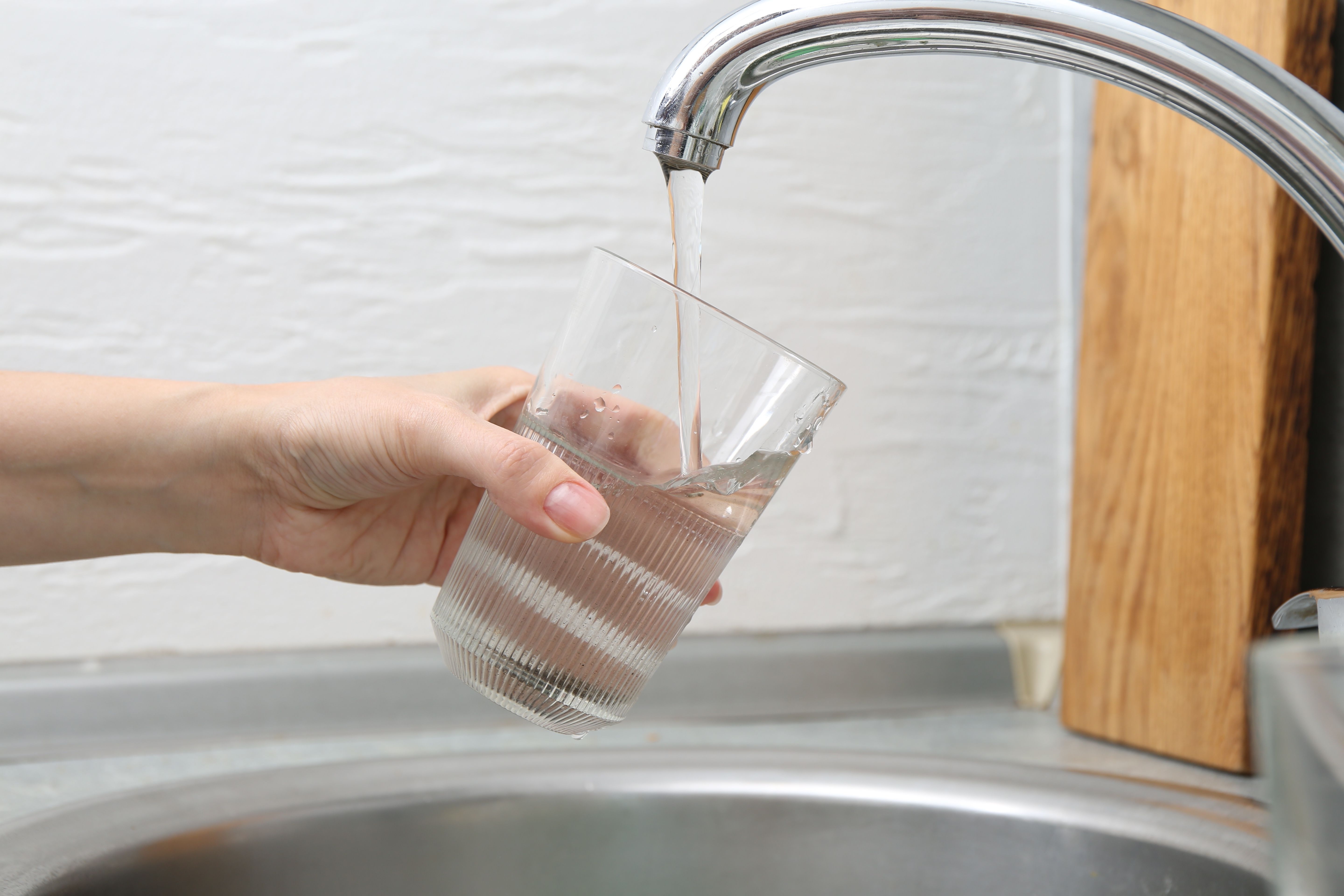 shutterstock_2654188177