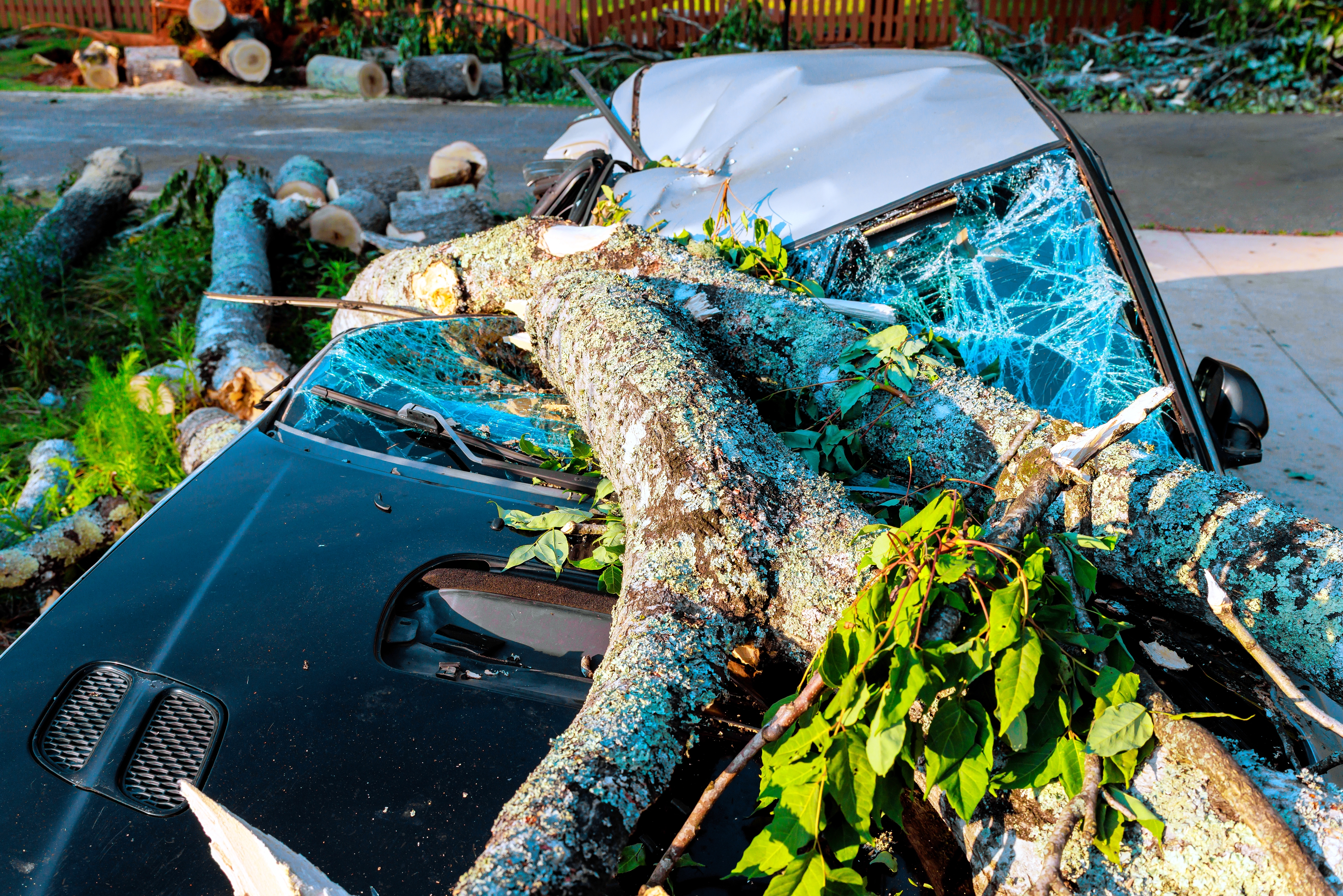 shutterstock_2719798667