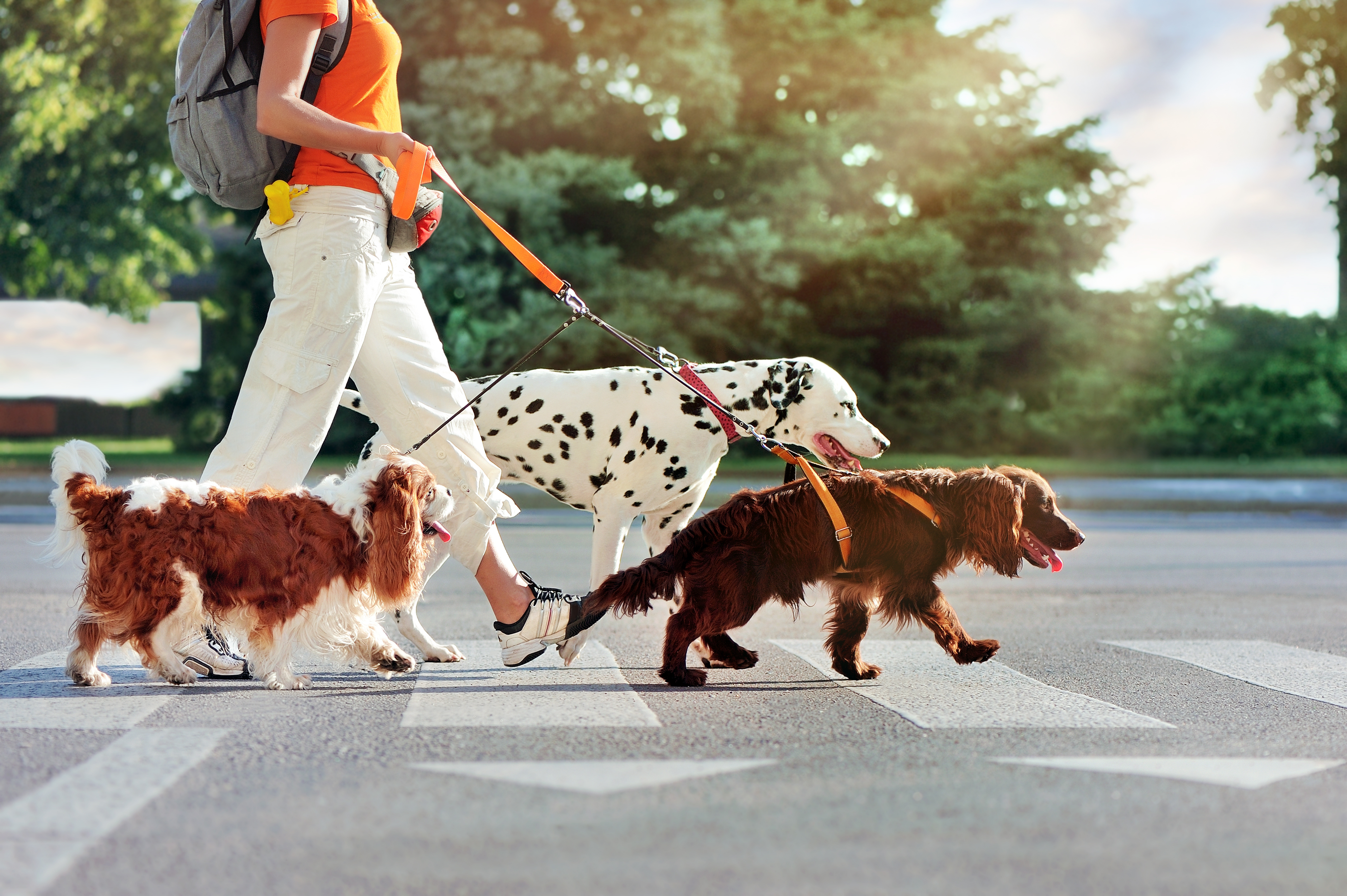 shutterstock_1777342130