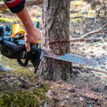 Träd fälls för att minska risken för skogsbränder