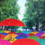 50-årsrekord och mer regn på väg