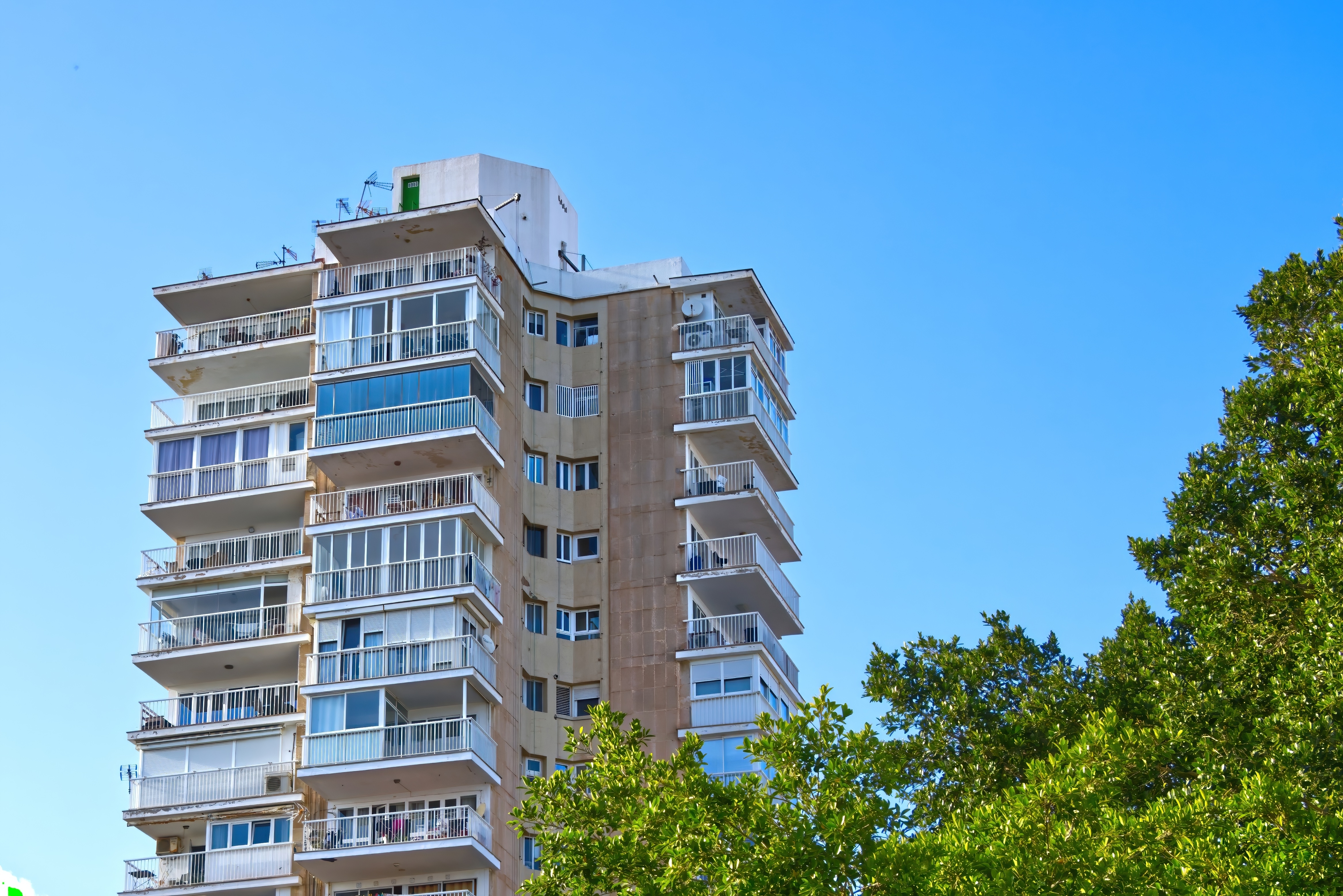 shutterstock_2466681581