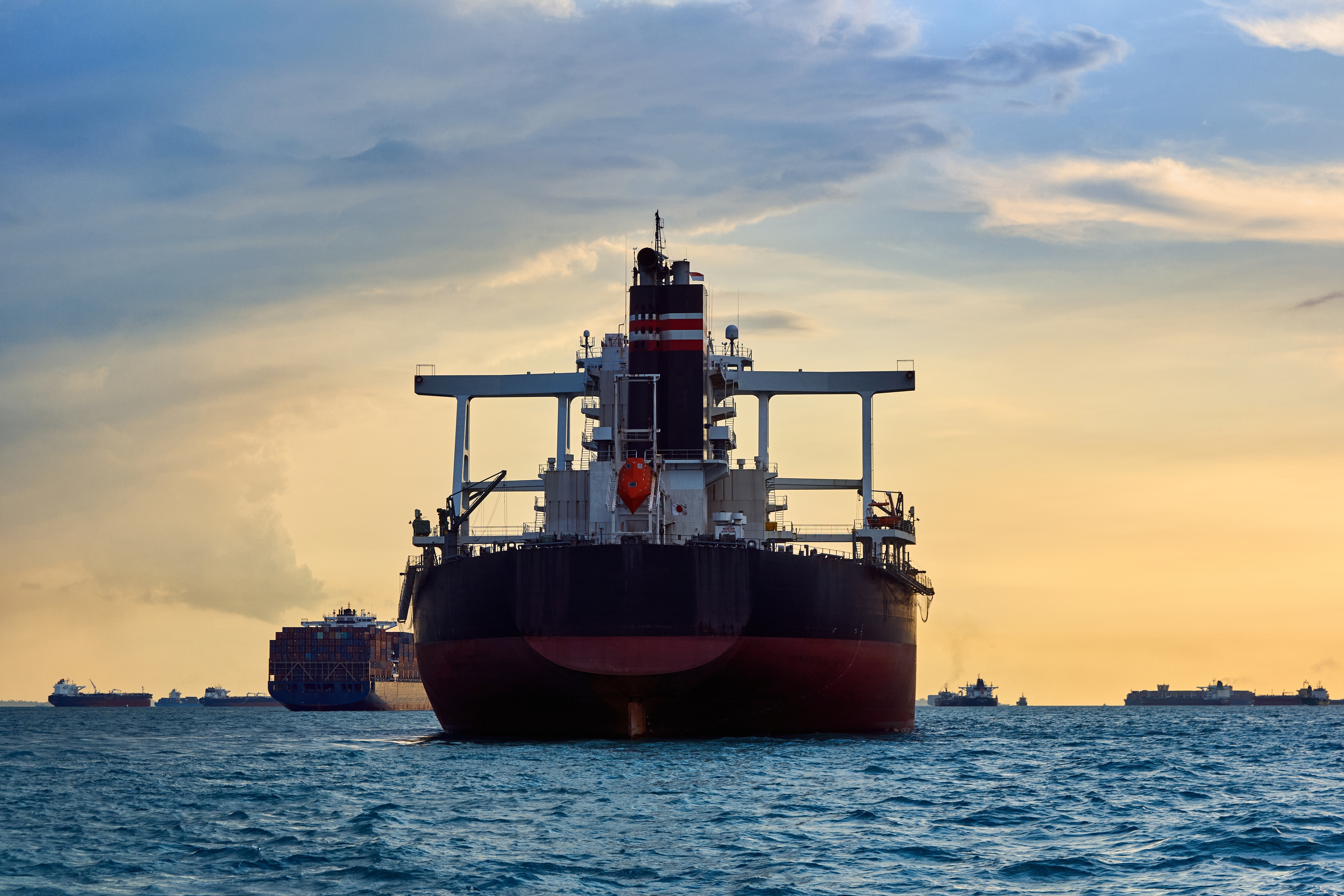 shutterstock_2485388425