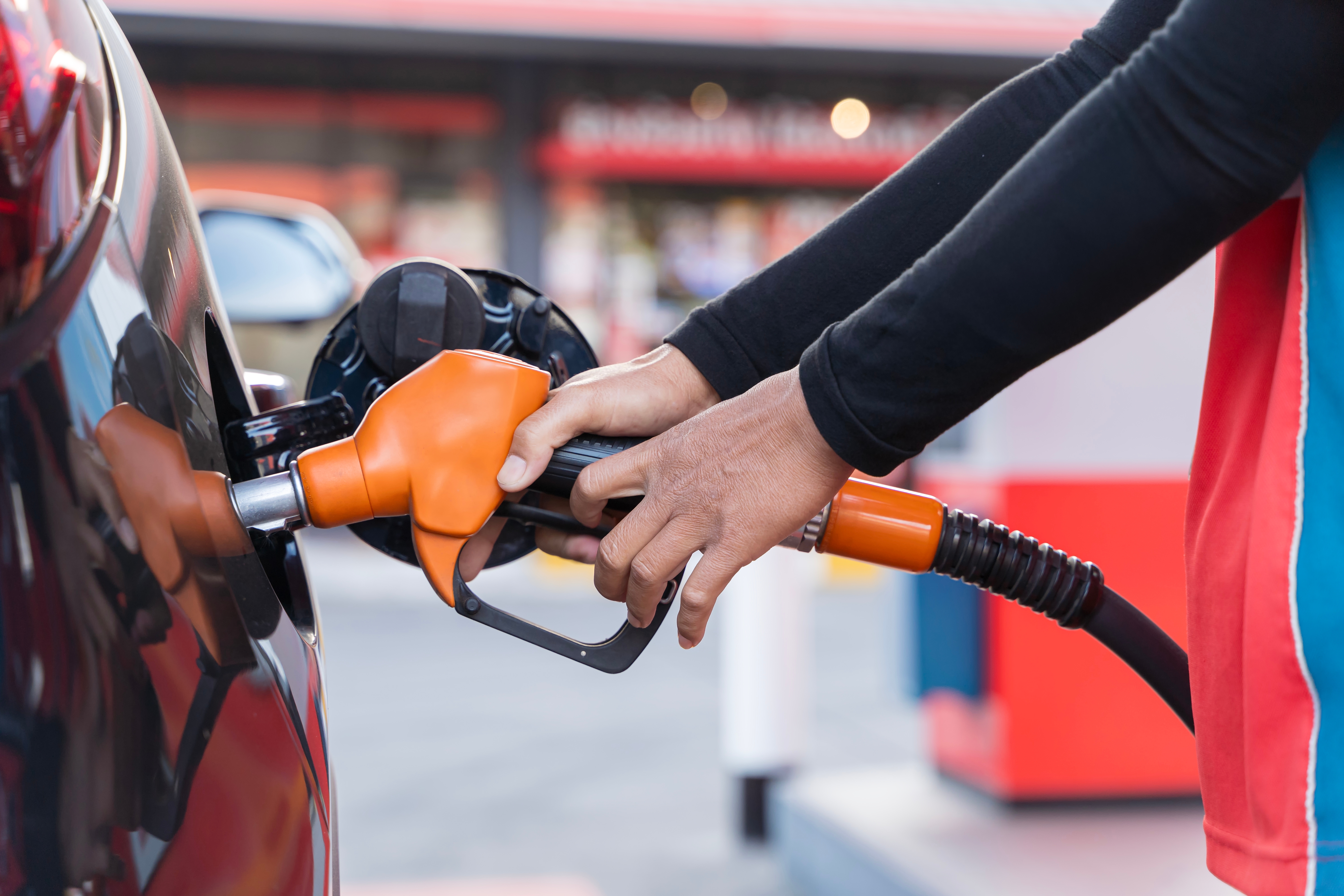 shutterstock_2577981089