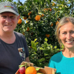 Den söta drömmen med sura citroner