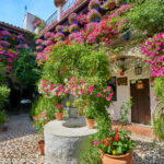 Stor blomstrande patiofestival