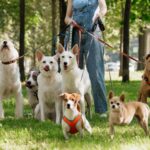 Fuengirola firar hundens dag