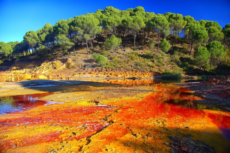 Blood,Red,Mineral,Laden,Water,In,The,Rio,Tinto,River