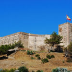 Castillo Sohail