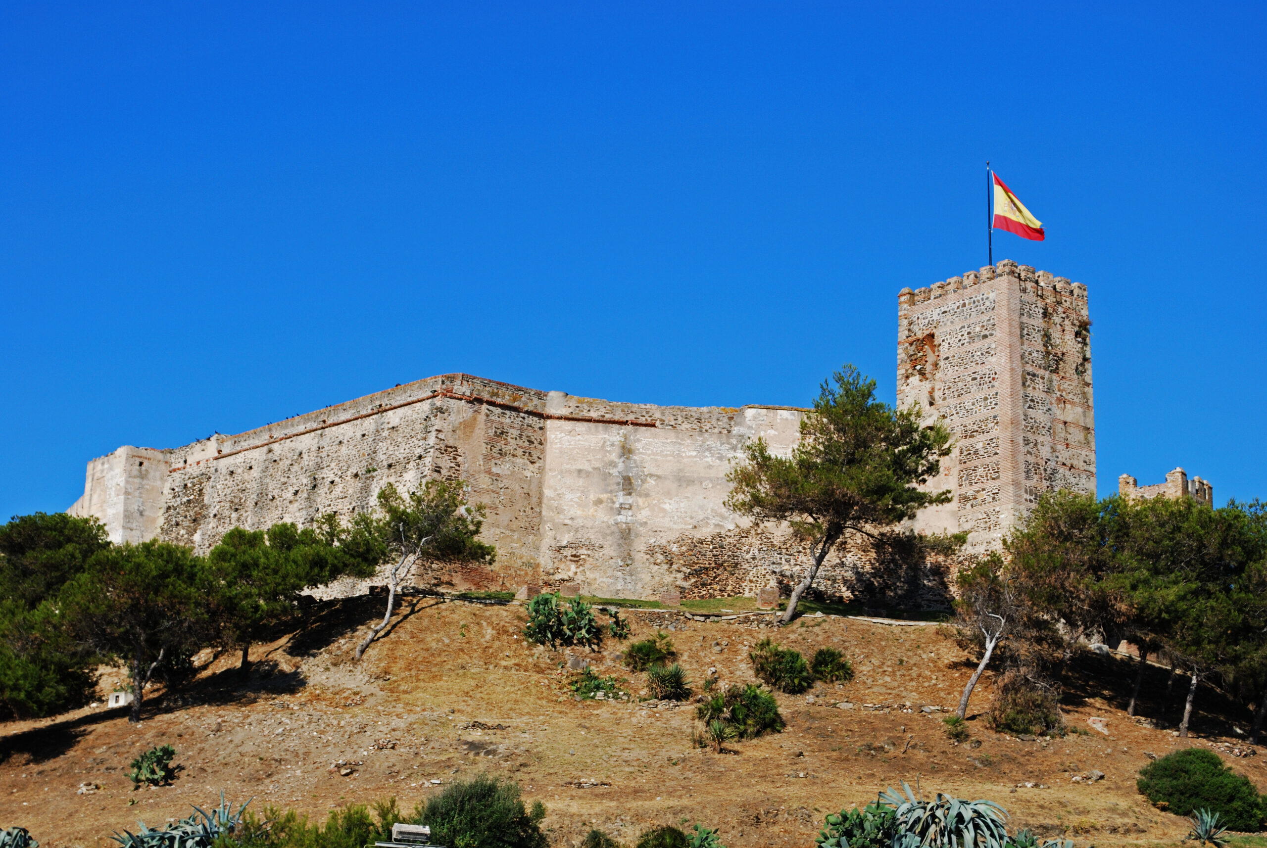 Castillo Sohail