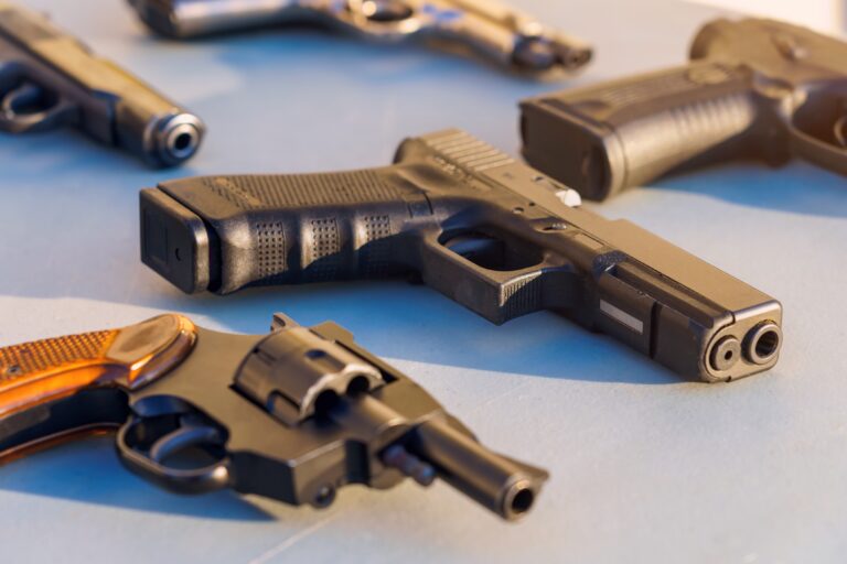 Polis i jätteinsats mot vapenliga