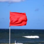 "Utmärkt" vattenkvalitet trots strandstängningar