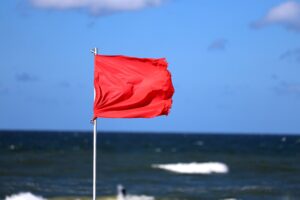 ”Utmärkt” vattenkvalitet trots strandstängningar