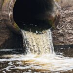 Ny kommitté ska säkra renare havsvatten