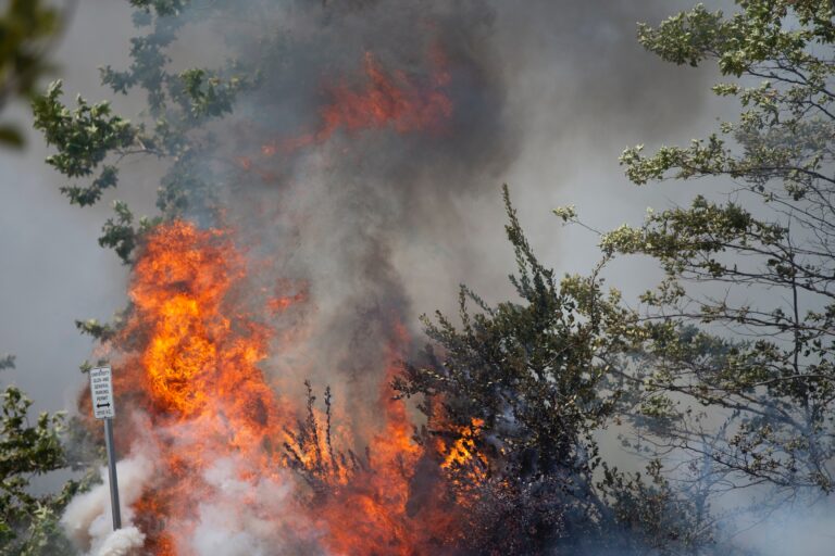 Risk för skogsbränder trots säsongen
